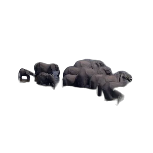 furniture, animal, creature, umbrella, 3d render, concept art, photorealistic, elephants transparent PNG cut-out