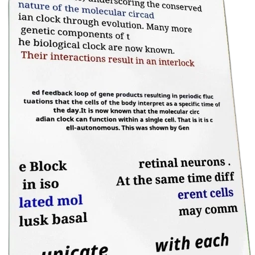 scientific, text, discusses, molecular, circadian, clock, evolution, cellular transparent PNG cut-out