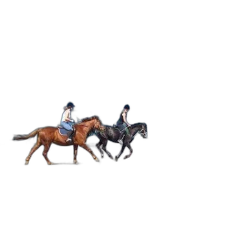 animal, staff, pixel art, concept art, 3d render, photorealistic, two, people transparent PNG cut-out