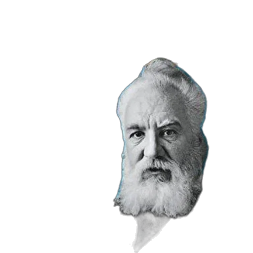 face, hair, mask, animal, photorealistic, pixel art, vaporwave, concept art transparent PNG cut-out
