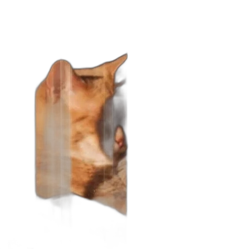animal, face, mask, creature, 3d render, photorealistic, ginger, cat transparent PNG cut-out
