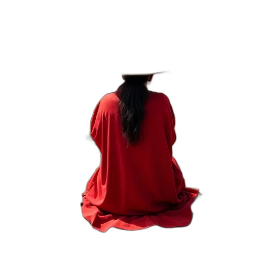 dress, hat, staff, jacket, person, red, garment, conical transparent PNG cut-out
