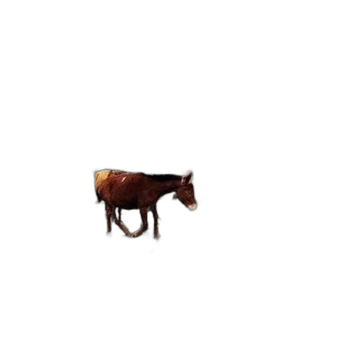 animal, creature, furniture, robot, pixel art, concept art, 3d render, photorealistic transparent PNG cut-out