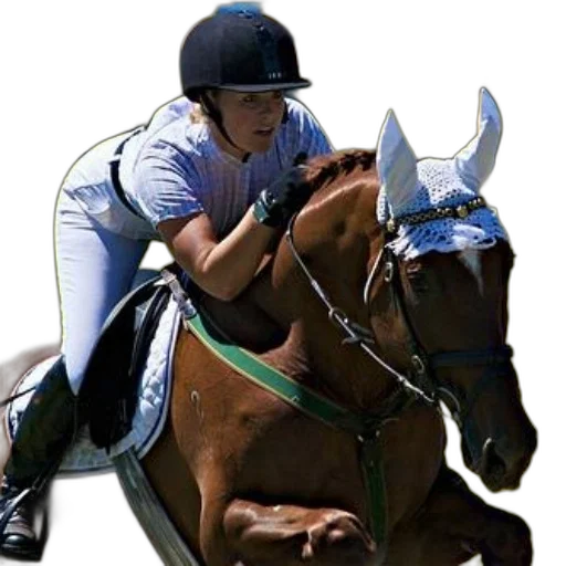 animal, photorealistic, woman, blue, shirt, black, helmet, rides transparent PNG cut-out