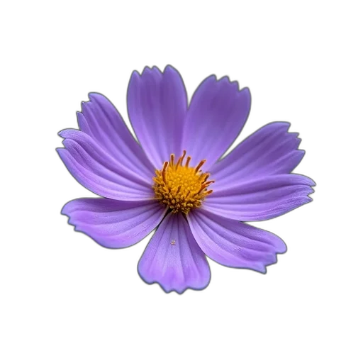 flower, crown, jewelry, staff, photorealistic, 3d render, oil painting, concept art transparent PNG cut-out