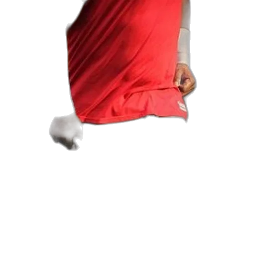 dress, hat, mask, staff transparent PNG cut-out