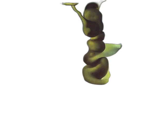 food, staff, hair, weapon transparent PNG cut-out