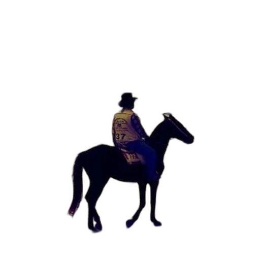 hat, crown, staff, jacket, concept art, pixel art, 3d render, photorealistic transparent PNG cut-out
