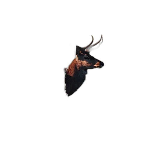 animal, dragon, creature, hat, pixel art, concept art, fantasy art, 3d render transparent PNG cut-out