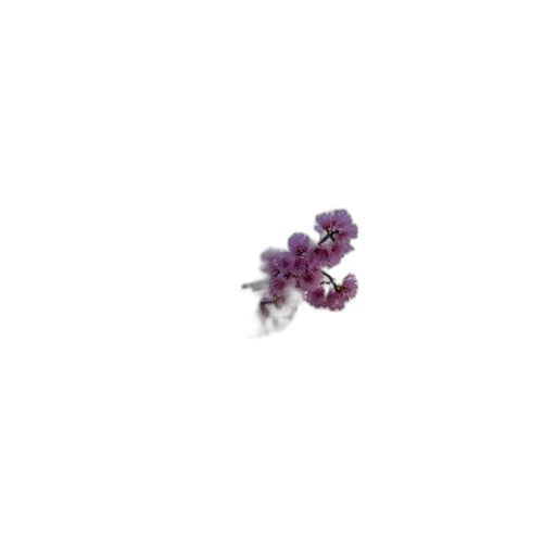 flower, crown, jewelry, hair, 3d render, underwater, outer space, cherry transparent PNG cut-out