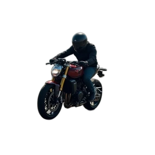 jacket, animal, weapon, creature transparent PNG cut-out