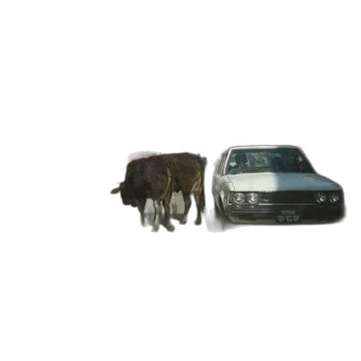 car, animal, creature, hair, 3d render, concept art, photorealistic, pixel art transparent PNG cut-out