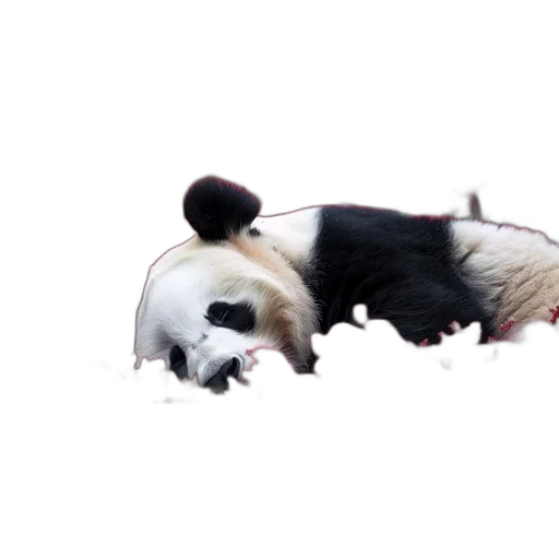 animal, creature, mask, weapon, 3d render, photorealistic, concept art, panda transparent PNG cut-out