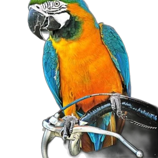 jewelry, animal, crown, staff, photorealistic, 3d render, concept art, colorful transparent PNG cut-out