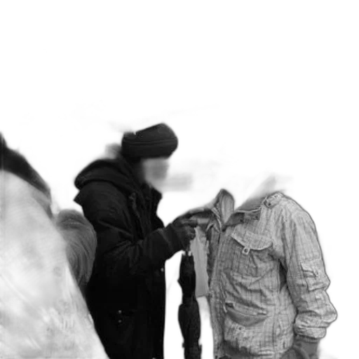 jacket, hat, staff, mask, photorealistic, fog, snow, forest transparent PNG cut-out
