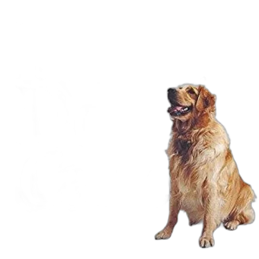 animal, creature, staff, face, photorealistic, 3d render, pixel art, oil painting transparent PNG cut-out