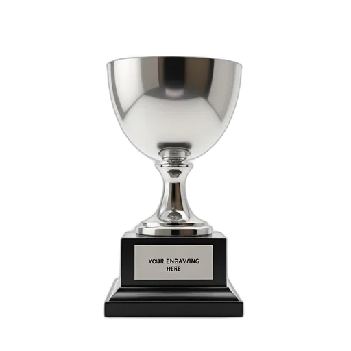 crown, silver, trophy, reflective, surface, curved, bowl, shape transparent PNG cut-out