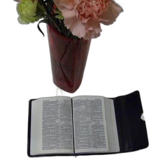 flower, crown, weapon, staff, bible, open, white, surface transparent PNG cut-out