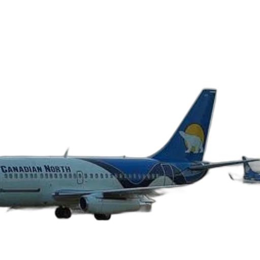 staff, 3d render, canadian, north, airplane, runway, polar, bear transparent PNG cut-out