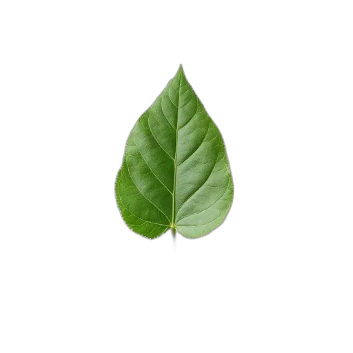 tree, food, crown, face, photorealistic, 3d render, pixel art, green transparent PNG cut-out