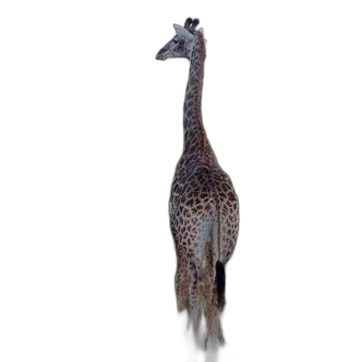 animal, creature, staff, dragon, 3d render, photorealistic, concept art, pixel art transparent PNG cut-out