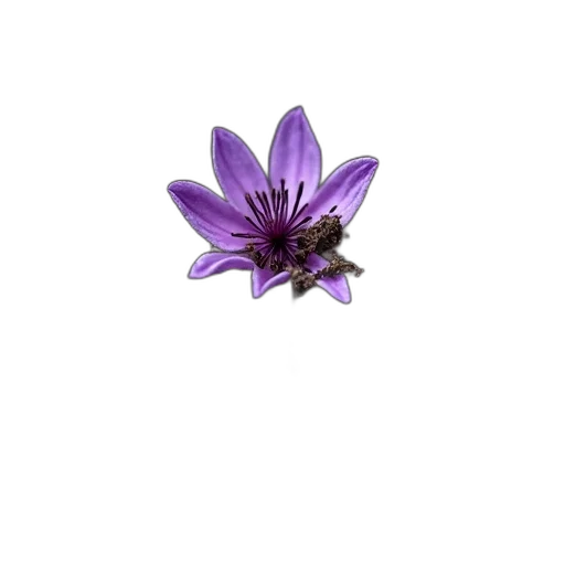 flower, jewelry, crown, staff, 3d render, photorealistic, pixel art, concept art transparent PNG cut-out