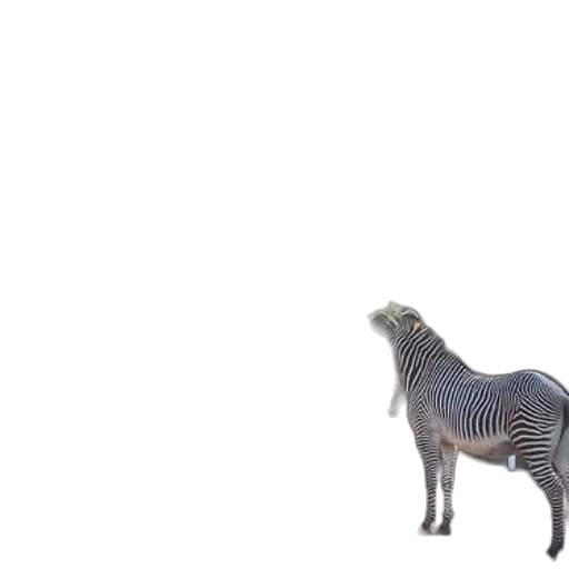 animal, creature, dragon, robot, 3d render, concept art, photorealistic, vaporwave transparent PNG cut-out