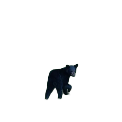 animal, creature, staff, hat, pixel art, concept art, 3d render, vaporwave transparent PNG cut-out