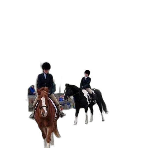 staff, animal, hat, jacket transparent PNG cut-out