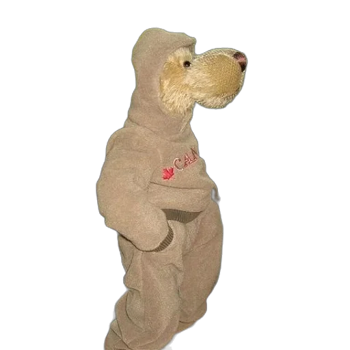 animal, creature, staff, jacket, 3d render, stuffed, dressed, hoodie transparent PNG cut-out