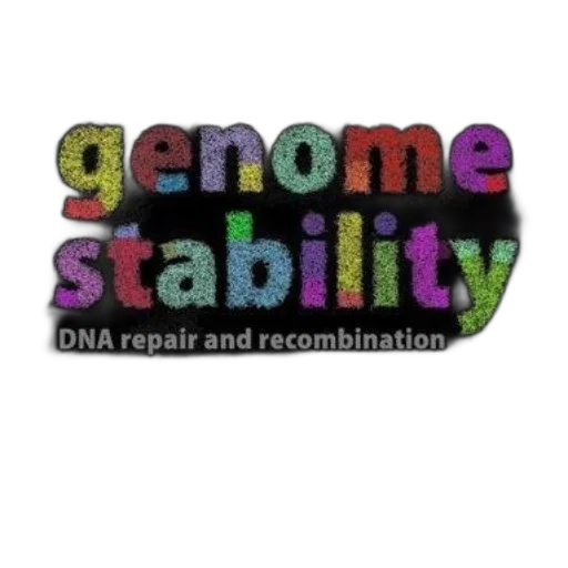 image, features, text, genome, stability, dna, repair, recombination transparent PNG cut-out