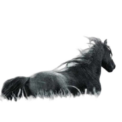 animal, hair, dragon, creature, photorealistic, concept art, fantasy art, 3d render transparent PNG cut-out