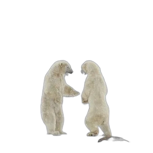 animal, creature, 3d render, concept art, photorealistic, forest, snow, fog transparent PNG cut-out