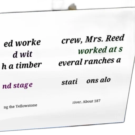 staff, text, overlay, blurred, background, reads, worke, wit transparent PNG cut-out