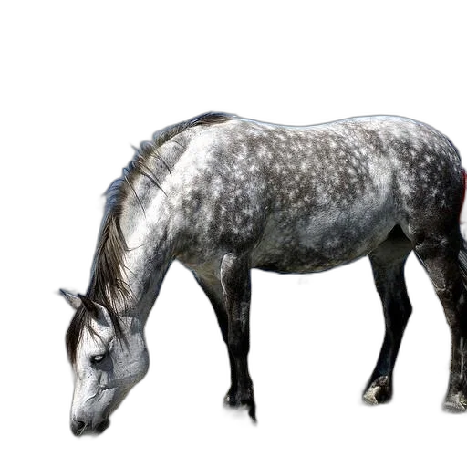 animal, creature, dragon, crown, photorealistic, 3d render, concept art, fantasy art transparent PNG cut-out