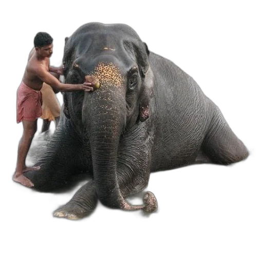 animal, creature, staff, weapon, photorealistic, 3d render, concept art, oil painting transparent PNG cut-out