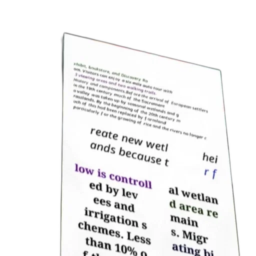 robot, vaporwave, poster, text, about, history, wetlands, sacramento transparent PNG cut-out