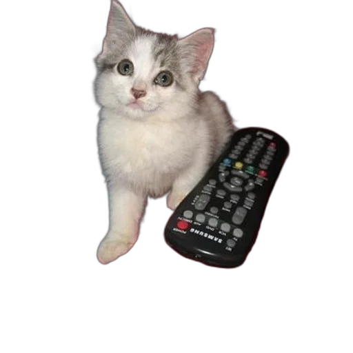 animal, staff, creature, weapon, 3d render, photorealistic, pixel art, vaporwave transparent PNG cut-out