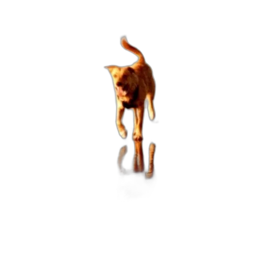 animal, staff, creature, furniture, 3d render, photorealistic, pixel art, concept art transparent PNG cut-out