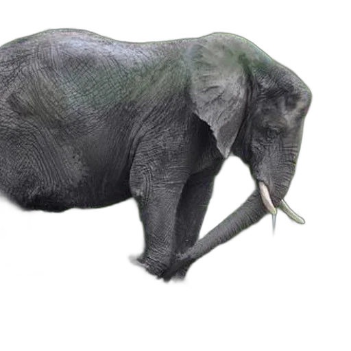 animal, creature, staff, hat, photorealistic, 3d render, concept art, pencil sketch transparent PNG cut-out