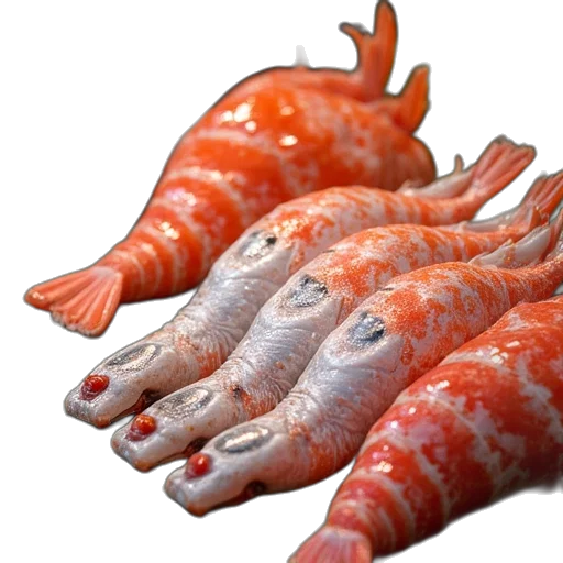 animal, creature, food, dragon transparent PNG cut-out