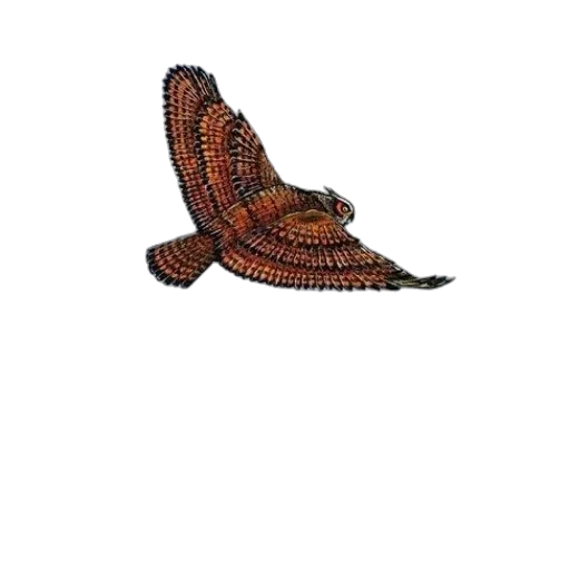 shoes, hat, animal, dragon, photorealistic, 3d render, pixel art, concept art transparent PNG cut-out