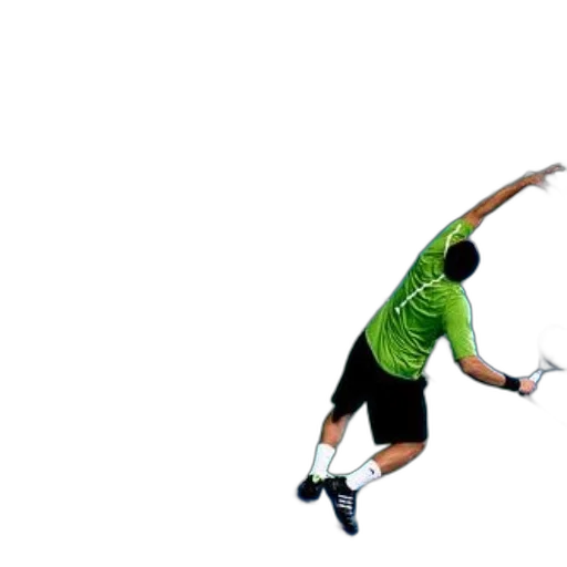 animal, 3d render, photorealistic, pixel art, green, tennis, player, shirt transparent PNG cut-out