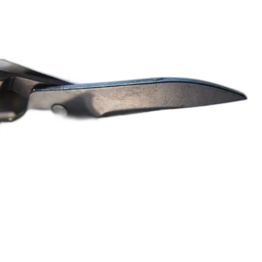 weapon, sword, staff, jewelry, 3d render, photorealistic, pair, scissors transparent PNG cut-out