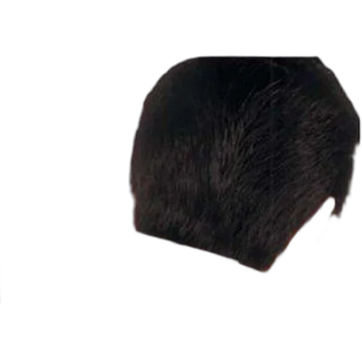 hair, hat, crown, mask, photorealistic, 3d render, concept art, barber transparent PNG cut-out