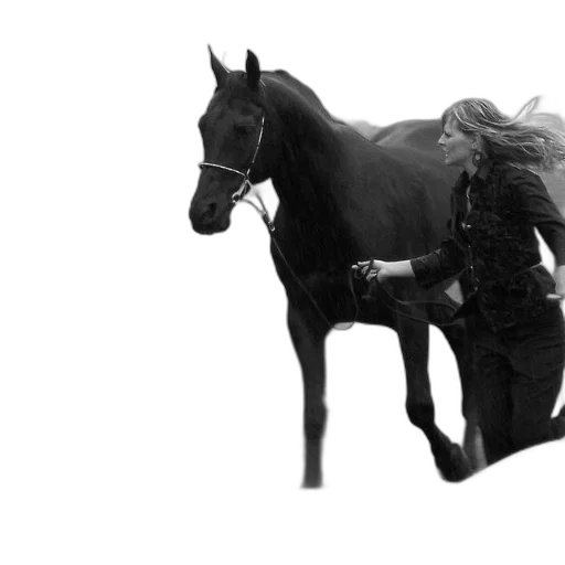 animal, creature, photorealistic, woman, black, shirt, pants, walks transparent PNG cut-out