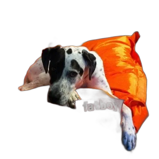 umbrella, animal, creature, staff, photorealistic, oil painting, 3d render, concept art transparent PNG cut-out