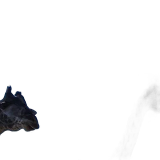 dragon, animal, creature, mask, concept art, 3d render, photorealistic, fantasy art transparent PNG cut-out
