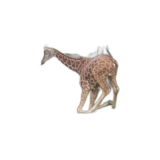 animal, creature, dragon, jewelry, 3d render, concept art, photorealistic, pixel art transparent PNG cut-out