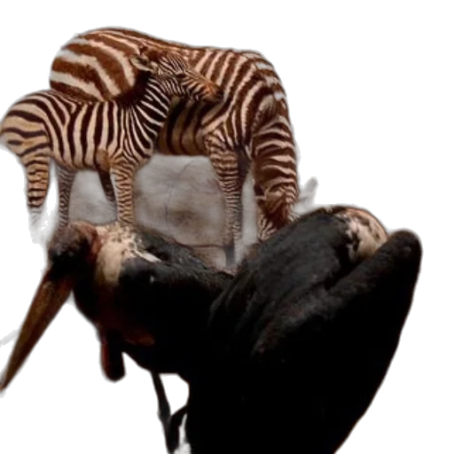 animal, hat, creature, staff, photorealistic, 3d render, concept art, earth tones transparent PNG cut-out